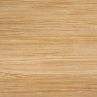 Sugar Maple 6050